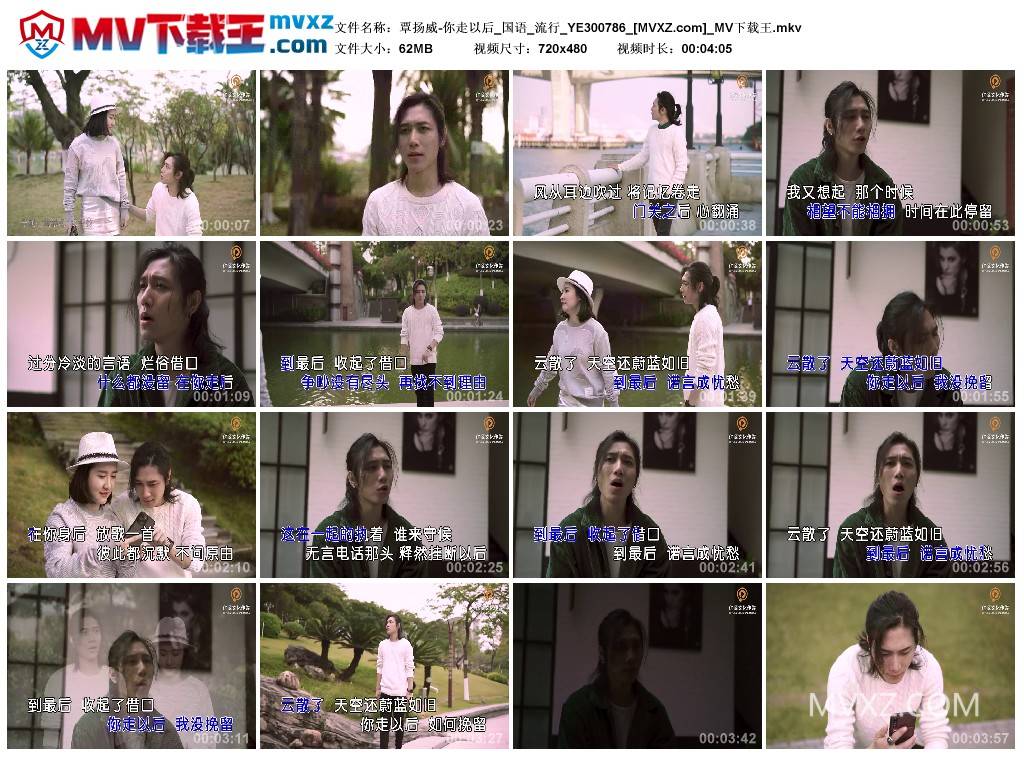 覃扬威-你走以后_国语_流行_YE300786